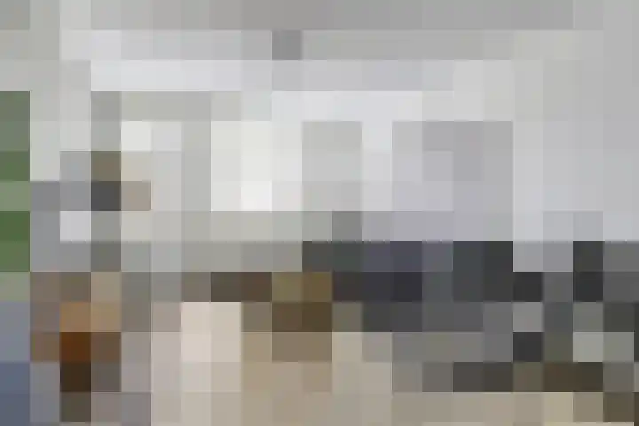 Zuster Irmbertastraat 6 Helden thumbnail 7
