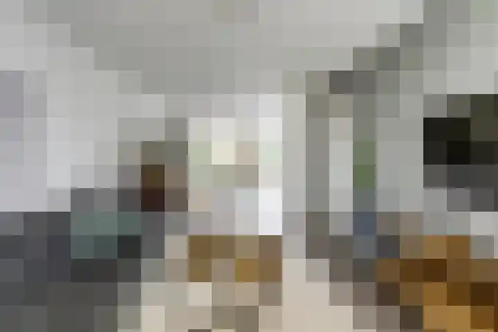 Zuster Irmbertastraat 6 Helden thumbnail 8