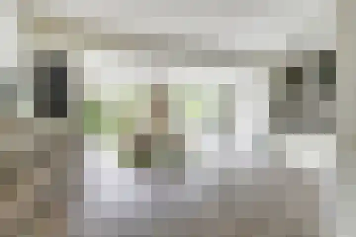 Zuster Irmbertastraat 6 Helden thumbnail 9