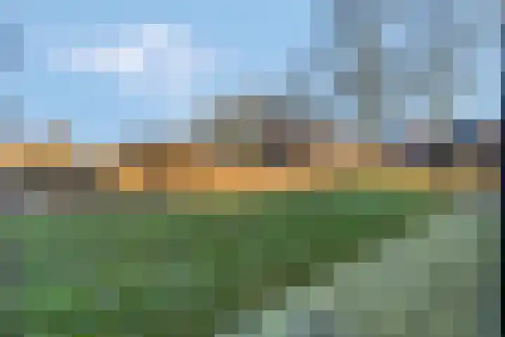 Zuster Joustrastraat 13 Putten thumbnail 33