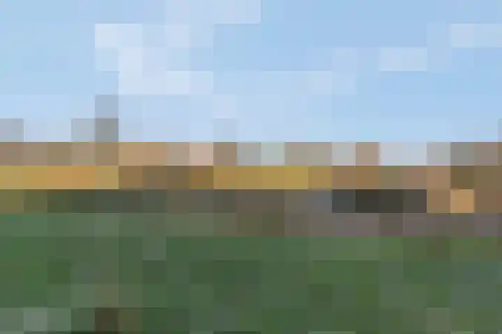 Zuster Joustrastraat 13 Putten thumbnail 34