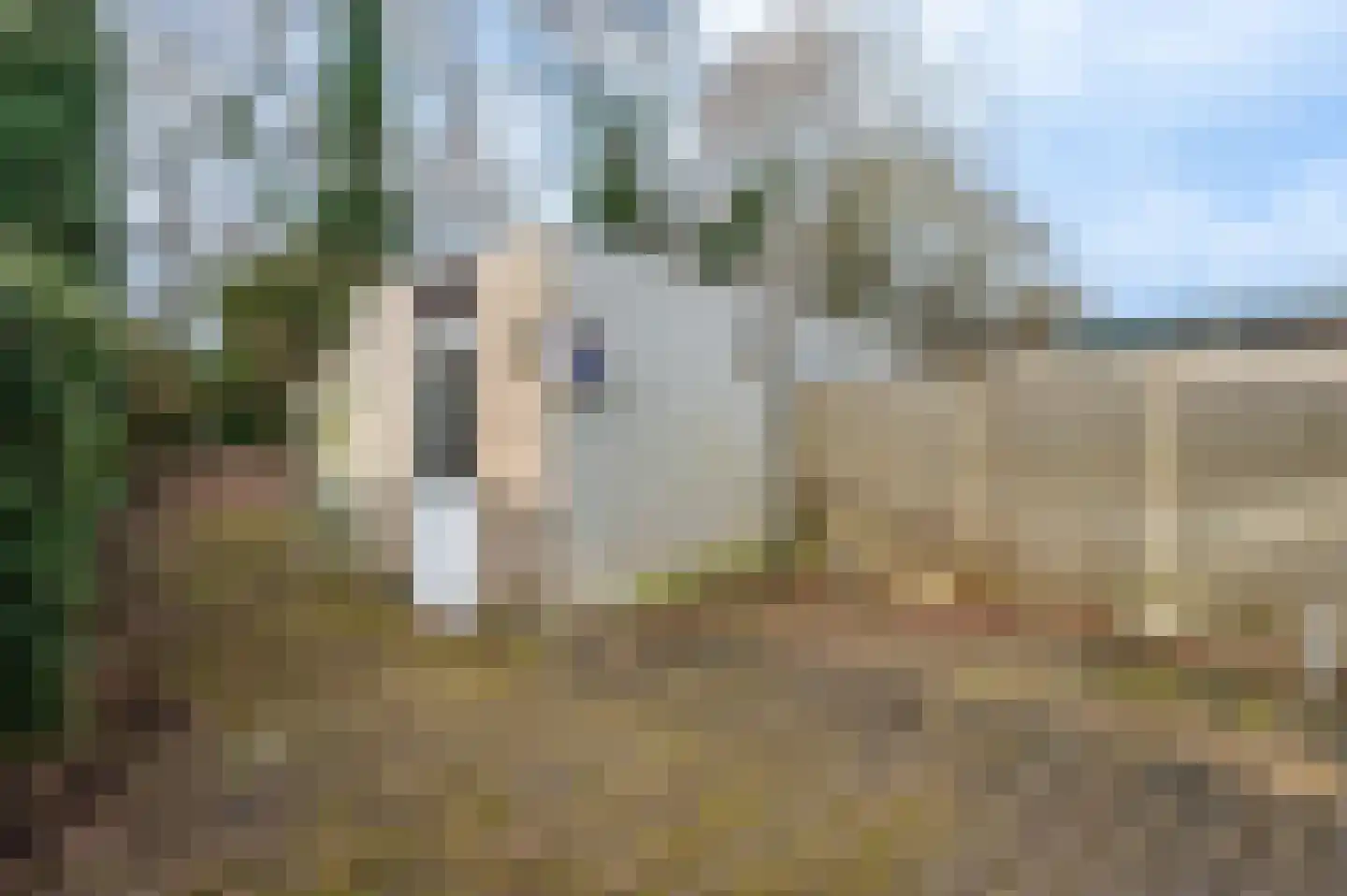 Zuster Klijnstralaan 81 Ugchelen thumbnail 20