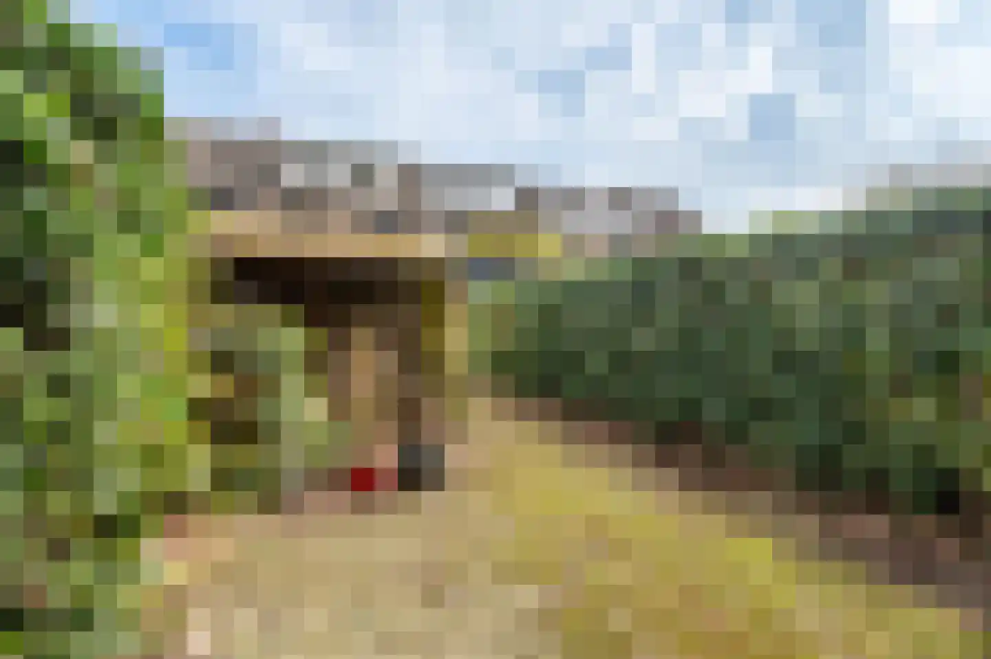 Zuster Klijnstralaan 81 Ugchelen thumbnail 23