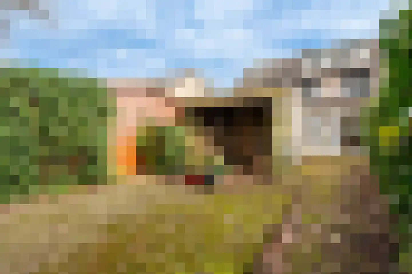 Zuster Klijnstralaan 81 Ugchelen thumbnail 25