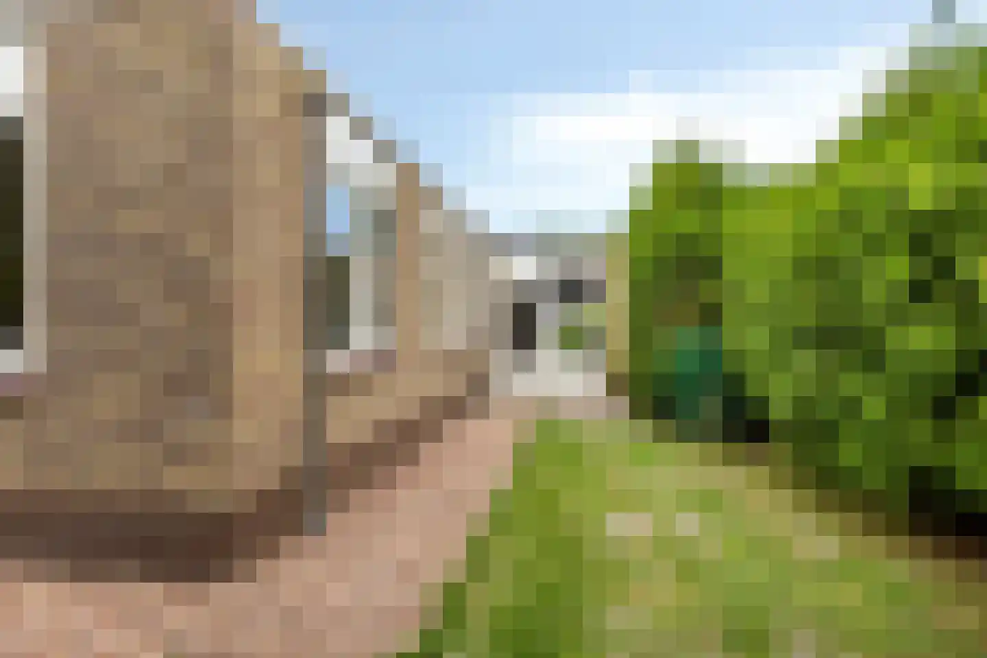 Zuster Kortestraat 25 Roodeschool thumbnail 30