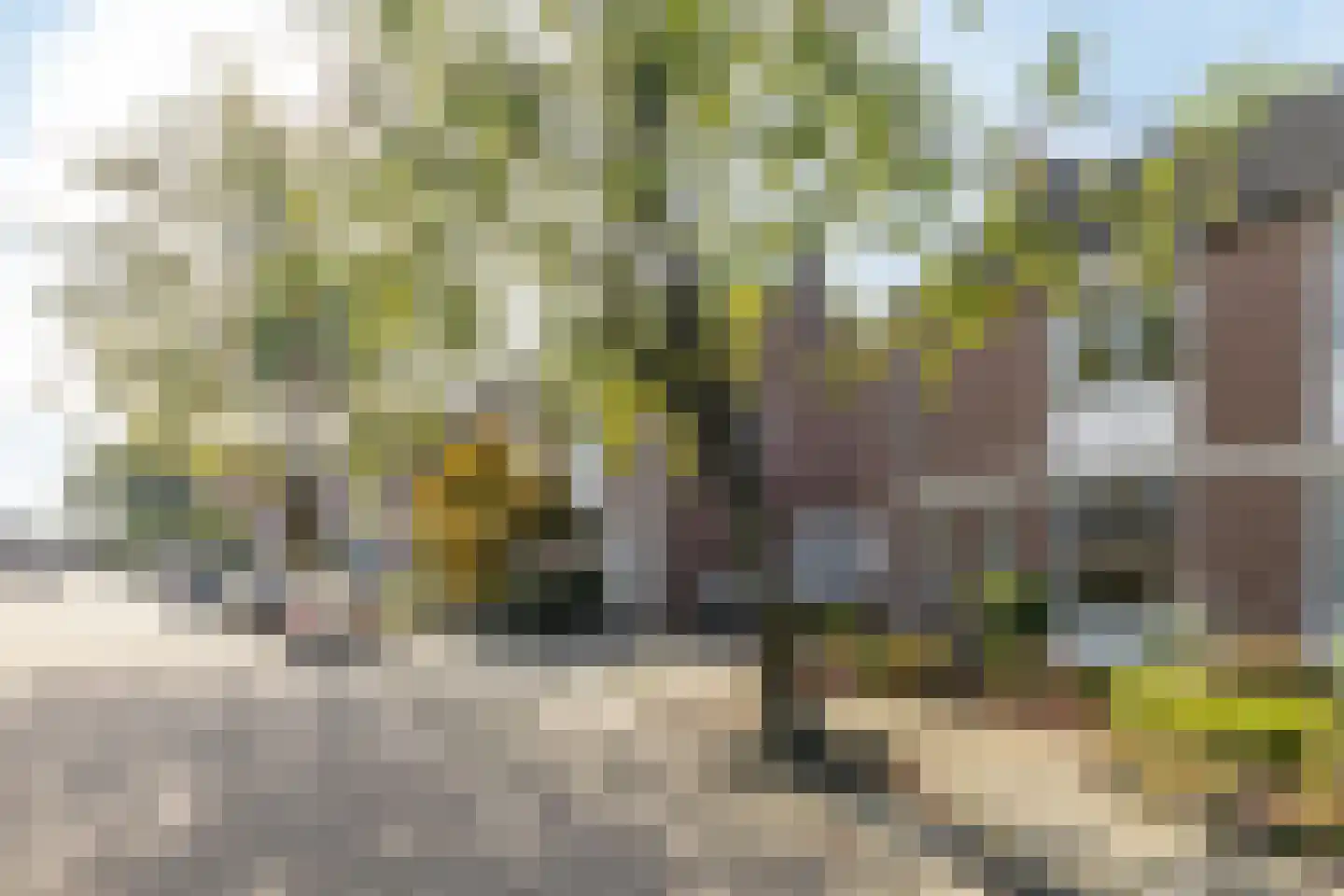 Zuster Kubornpad 3 Beek thumbnail 30
