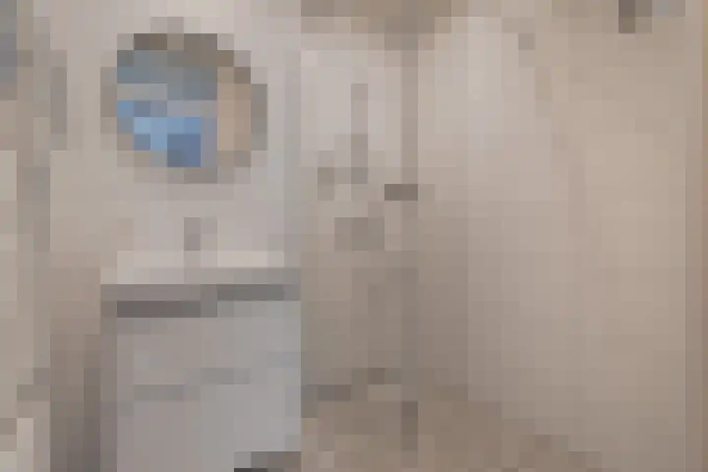 Zuster Paladiaplantsoen 21 Meerssen thumbnail 11