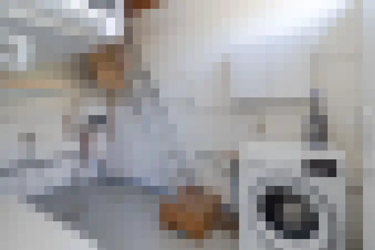 Zuster Paladiaplantsoen 21 Meerssen thumbnail 7