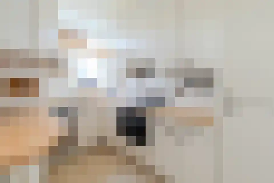 Zuster Paladiaplantsoen 26 Meerssen thumbnail 18