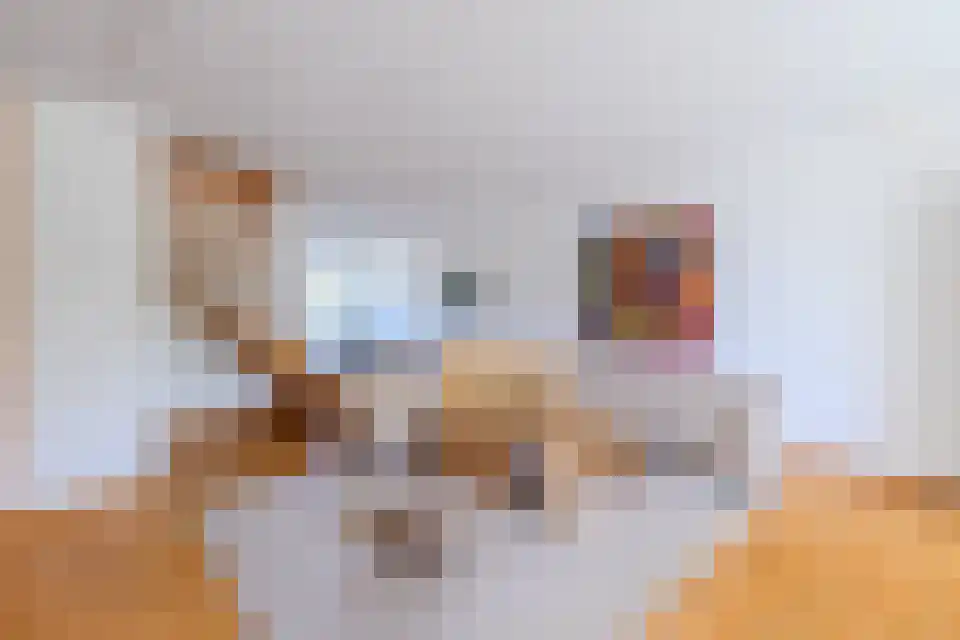 Zuster Paladiaplantsoen 26 Meerssen thumbnail 6