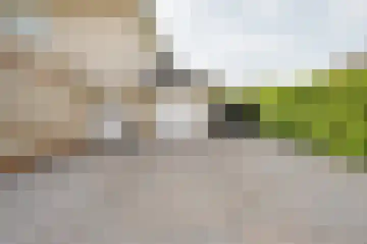 Zuster Reichertstraat 15 Spijkenisse thumbnail 11