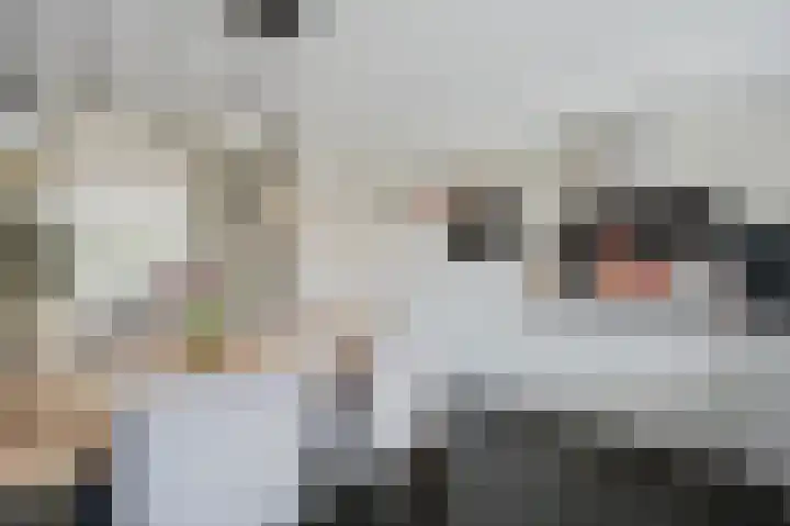 Zuster Reichertstraat 15 Spijkenisse thumbnail 22