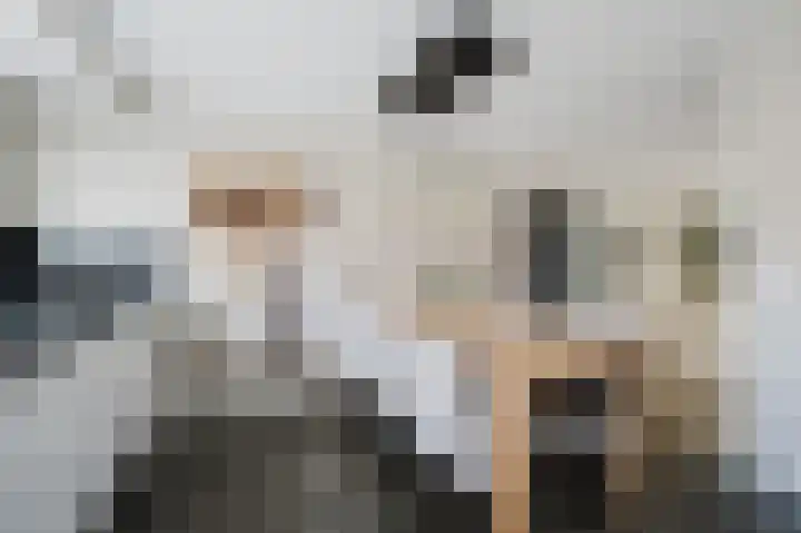 Zuster Reichertstraat 15 Spijkenisse thumbnail 23
