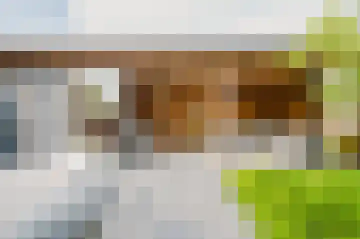Zuster Reichertstraat 15 Spijkenisse thumbnail 25
