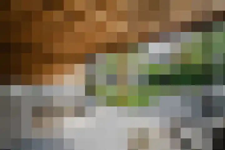 Zuster Reichertstraat 15 Spijkenisse thumbnail 4