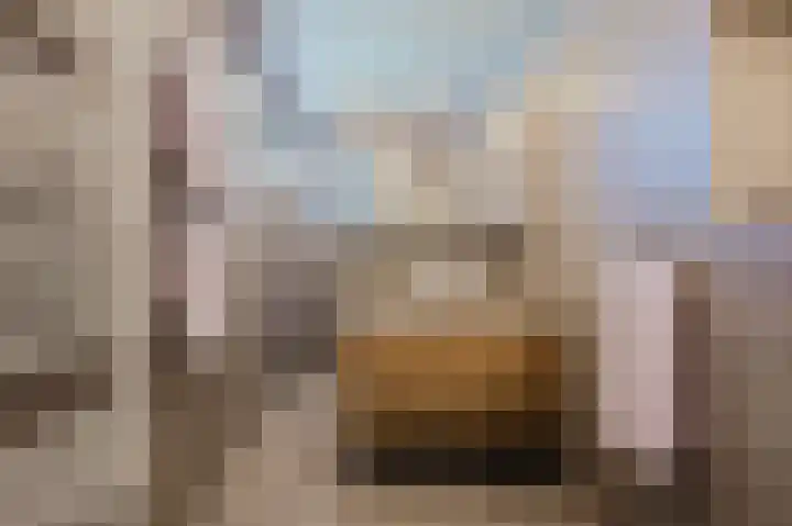 Zuster Reichertstraat 15 Spijkenisse thumbnail 5