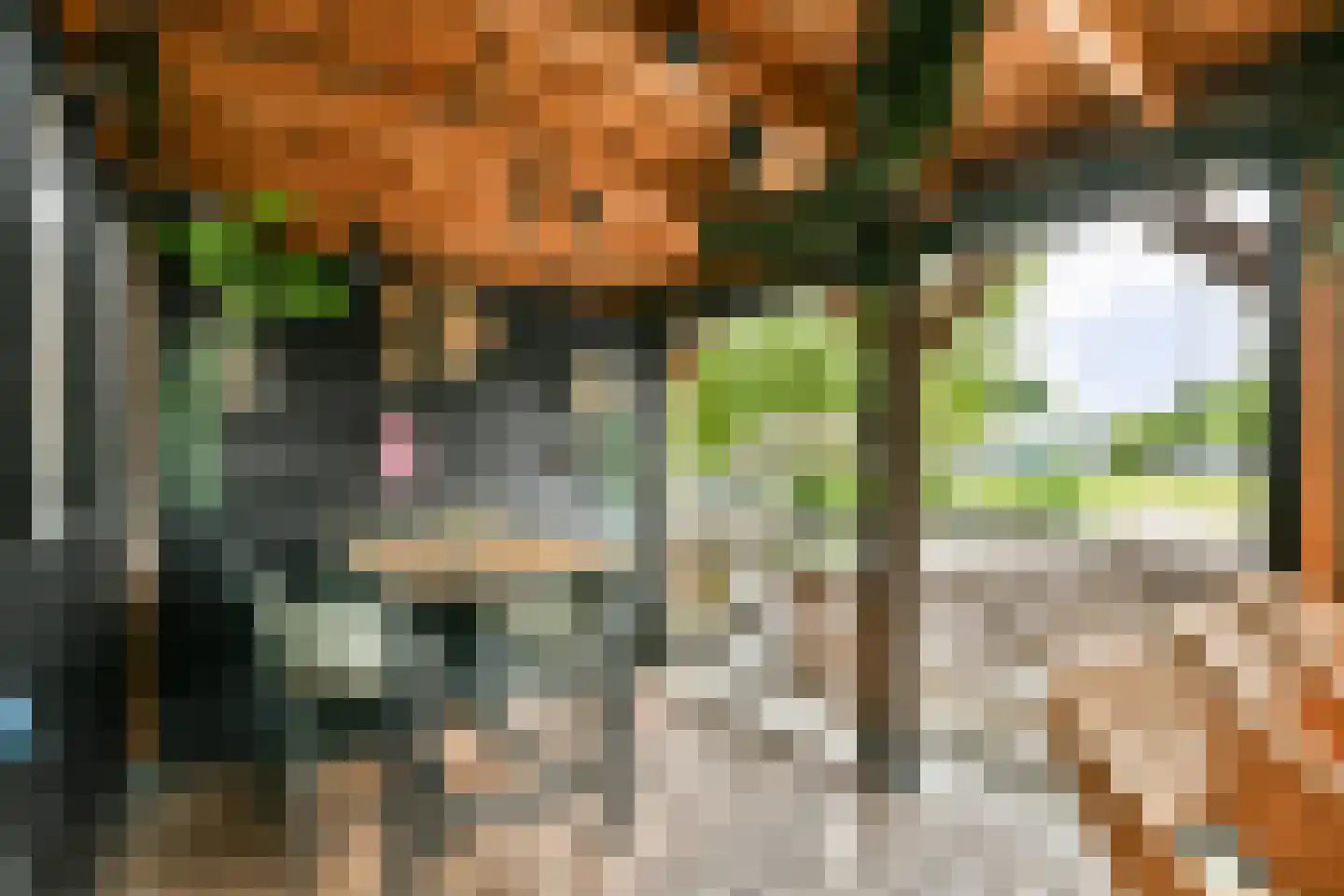 Zuster Reichertstraat 16 Leiden thumbnail 13