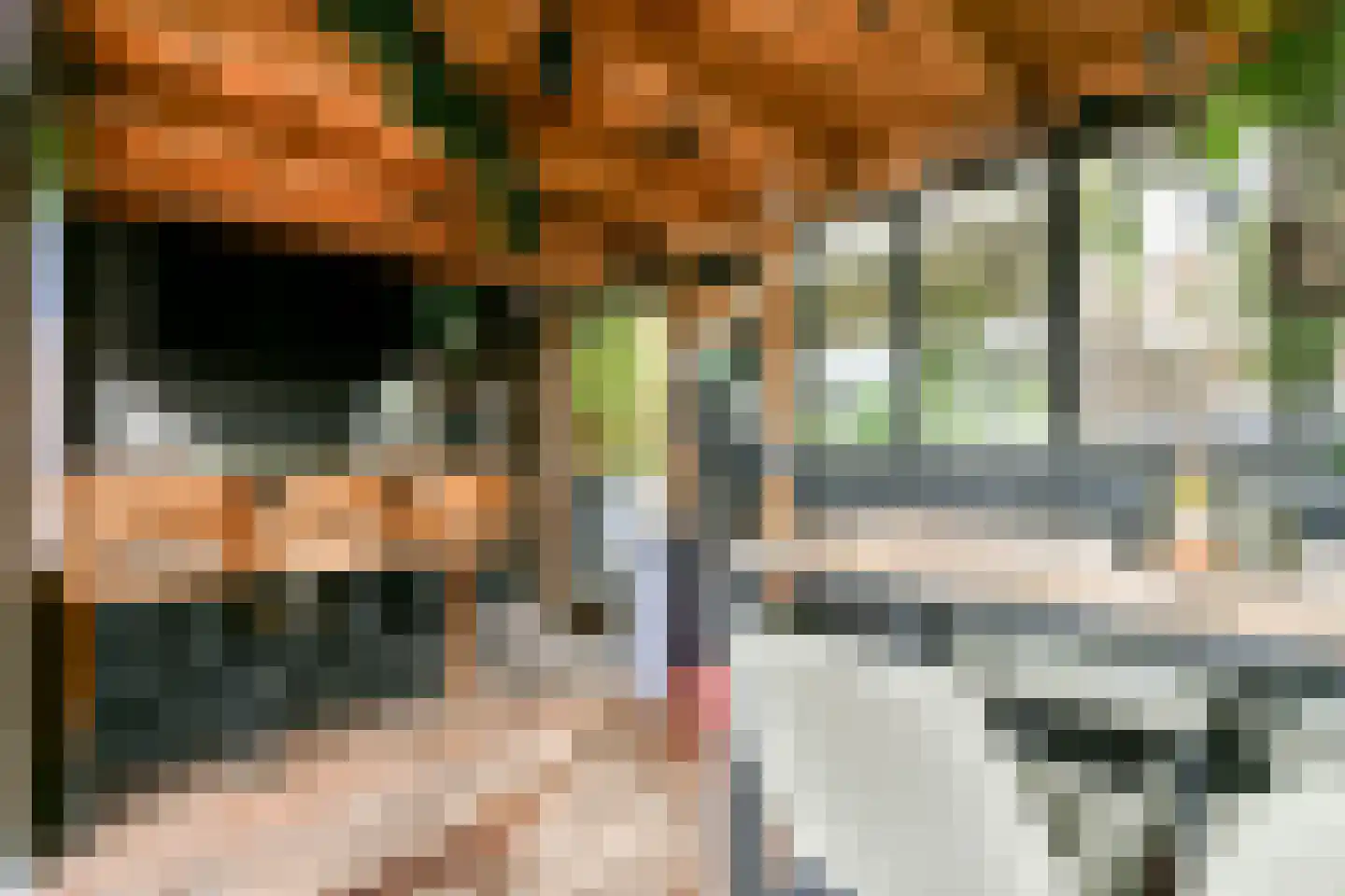 Zuster Reichertstraat 16 Leiden thumbnail 14