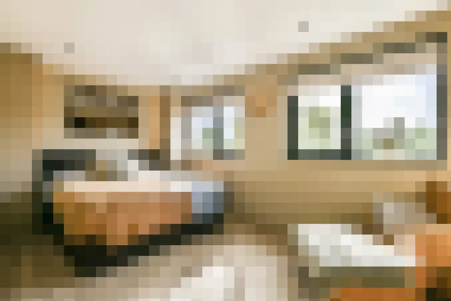 Zuster Reichertstraat 16 Leiden thumbnail 22