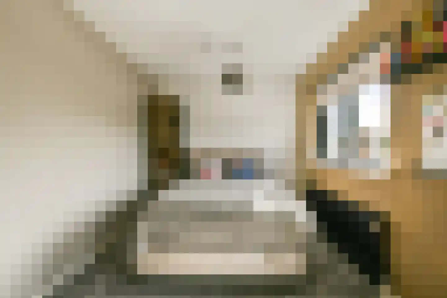 Zuster Reichertstraat 16 Leiden thumbnail 31