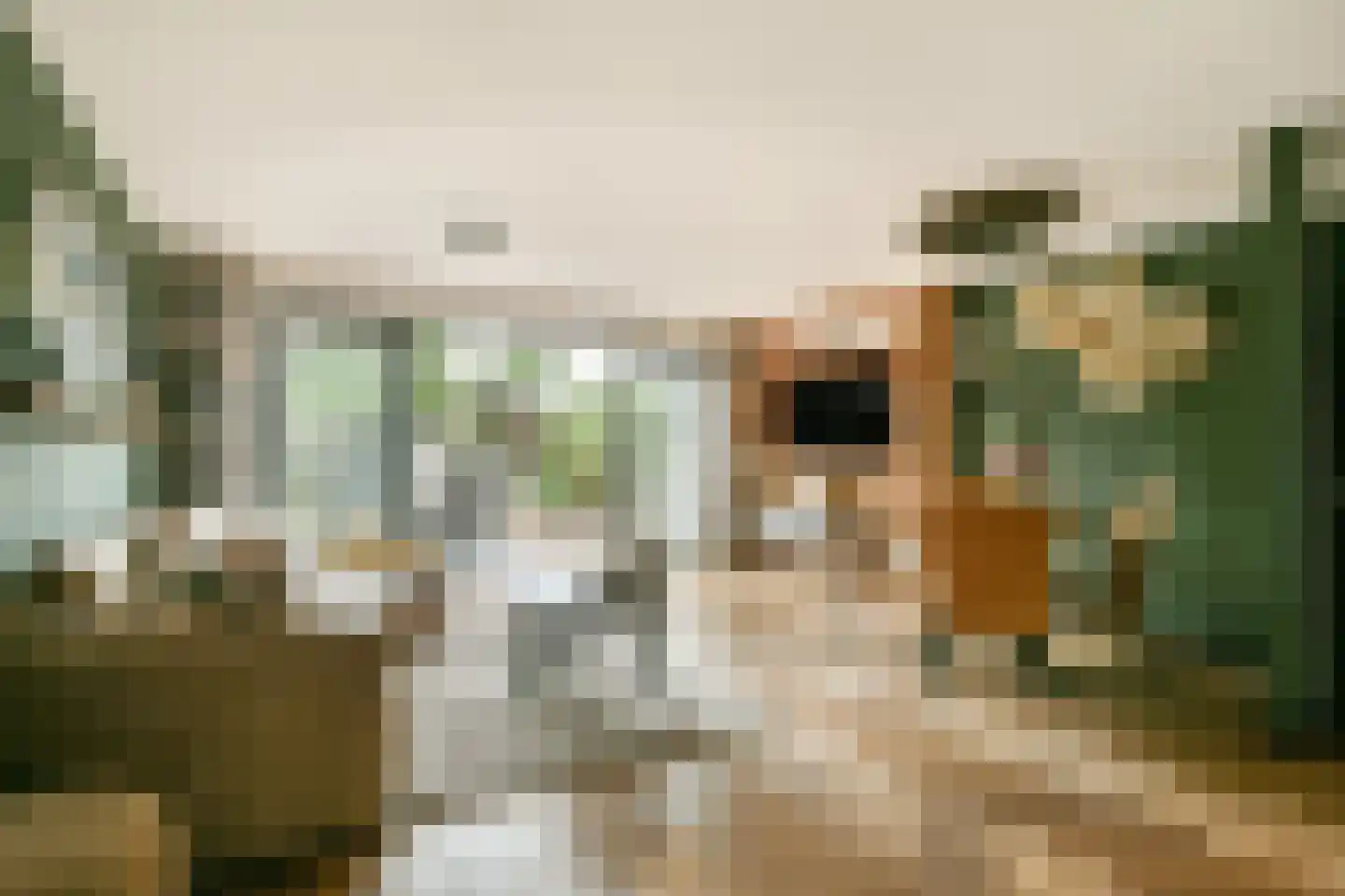 Zuster Reichertstraat 16 Leiden thumbnail 4