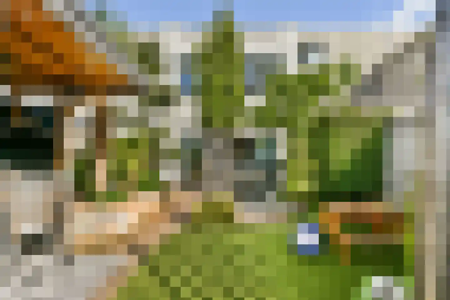 Zuster Reichertstraat 16 Leiden thumbnail 5