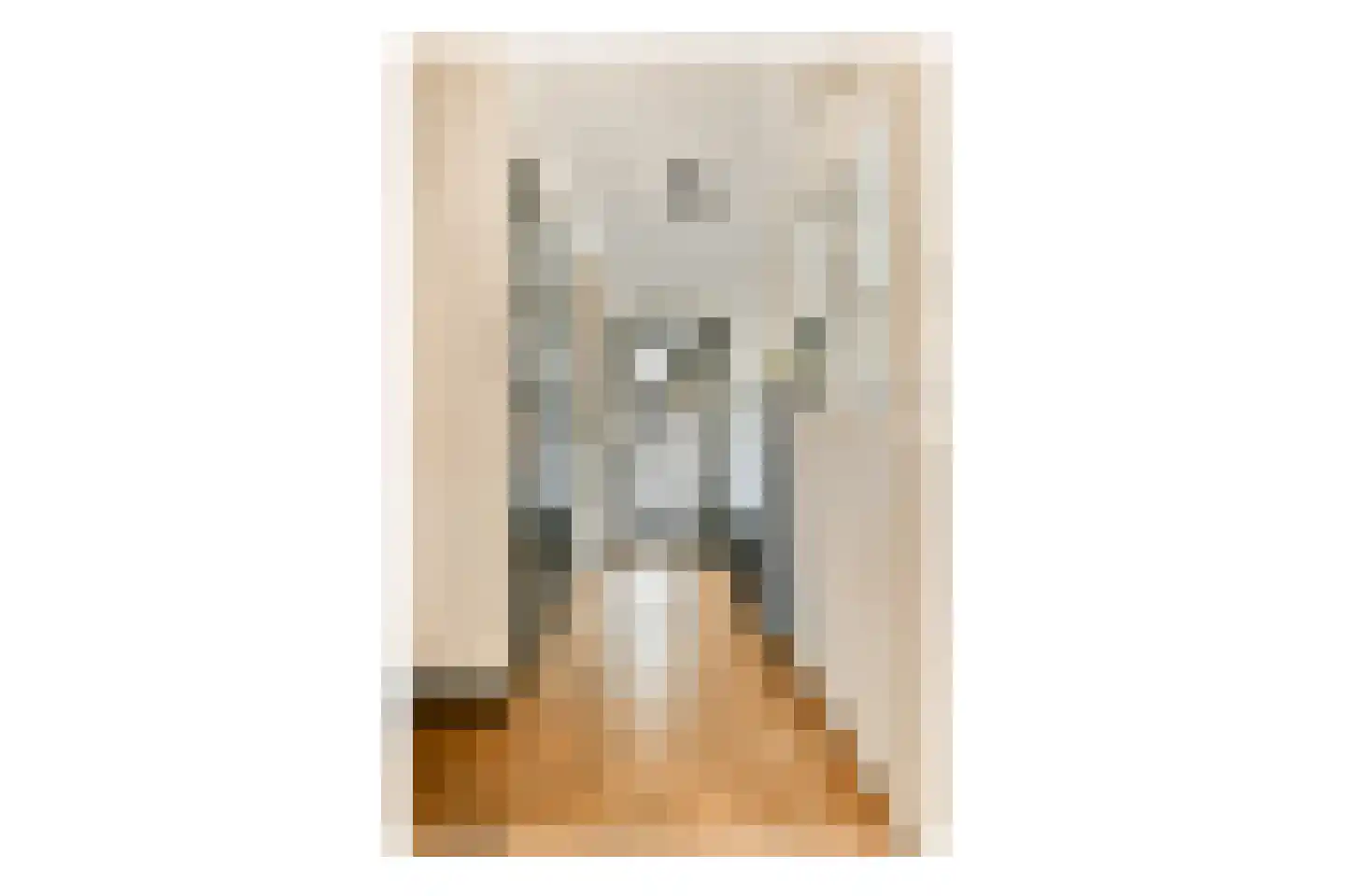 Zuster Reichertstraat 16 Leiden thumbnail 6