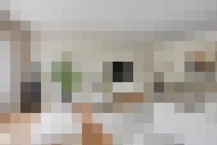 Zuster Reichertstraat 23 Spijkenisse thumbnail 15