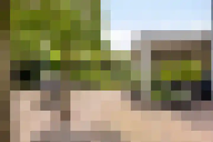Zuster Reichertstraat 23 Spijkenisse thumbnail 23