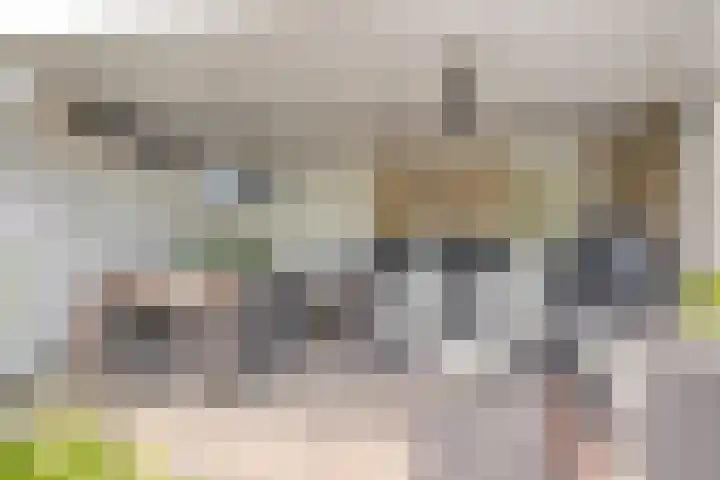 Zuster Reichertstraat 23 Spijkenisse thumbnail 25