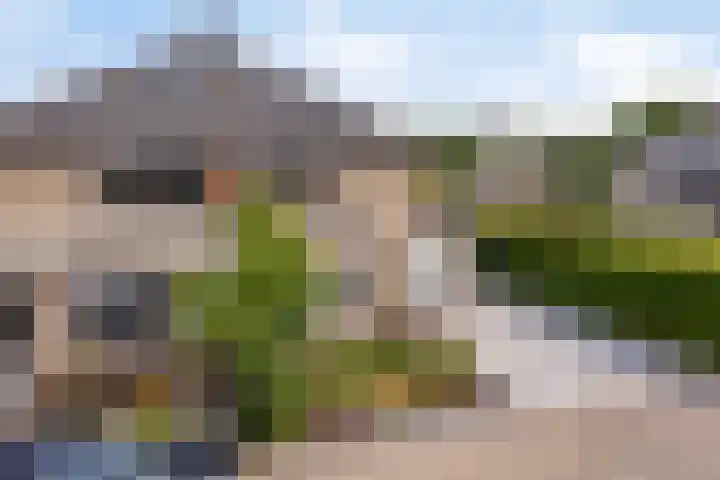 Zuster Reichertstraat 23 Spijkenisse thumbnail 43