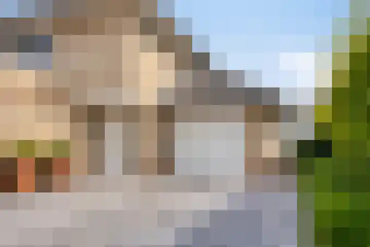 Zuster Reichertstraat 23 Spijkenisse thumbnail 6
