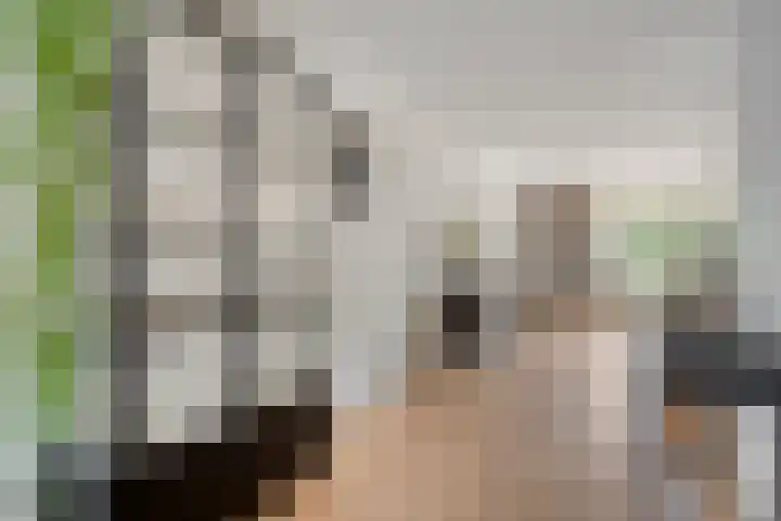 Zuster Reichertstraat 23 Spijkenisse thumbnail 7