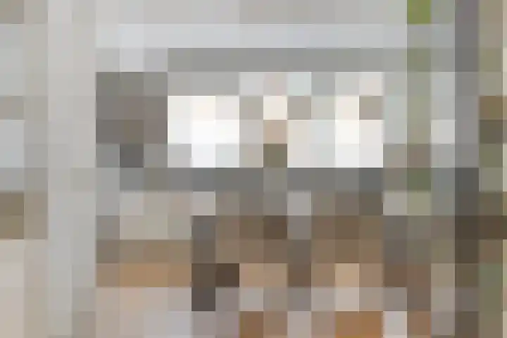 Zuster Reichertstraat 23 Spijkenisse thumbnail 8