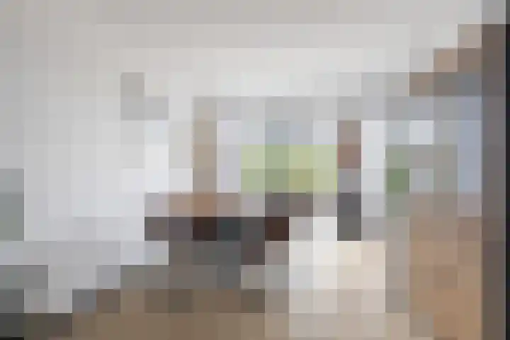 Zuster Siffelslaan 23 Anna Paulowna thumbnail 12