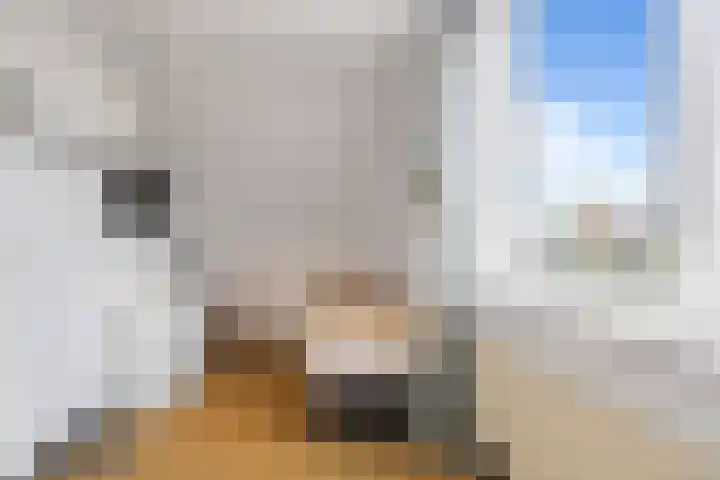 Zuster Siffelslaan 23 Anna Paulowna thumbnail 22