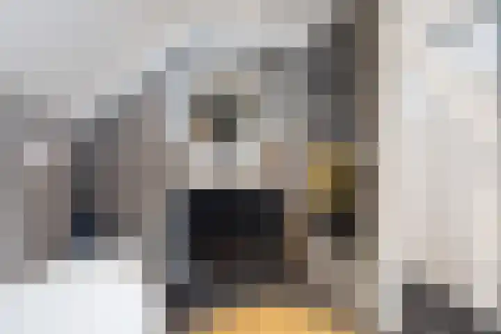 Zuster Siffelslaan 23 Anna Paulowna thumbnail 27