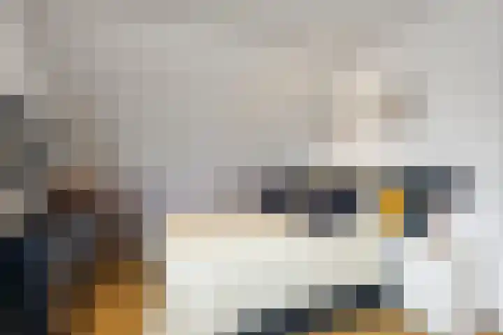 Zuster Siffelslaan 23 Anna Paulowna thumbnail 29