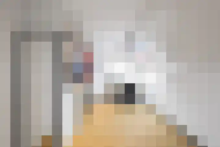 Zuster Siffelslaan 23 Anna Paulowna thumbnail 30