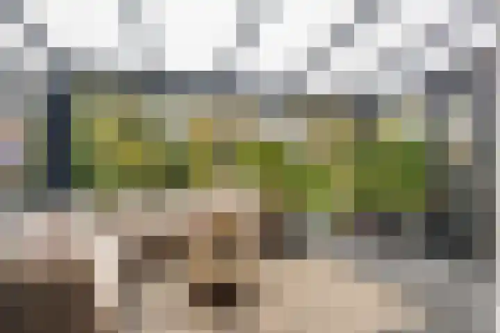 Zuster Siffelslaan 23 Anna Paulowna thumbnail 4