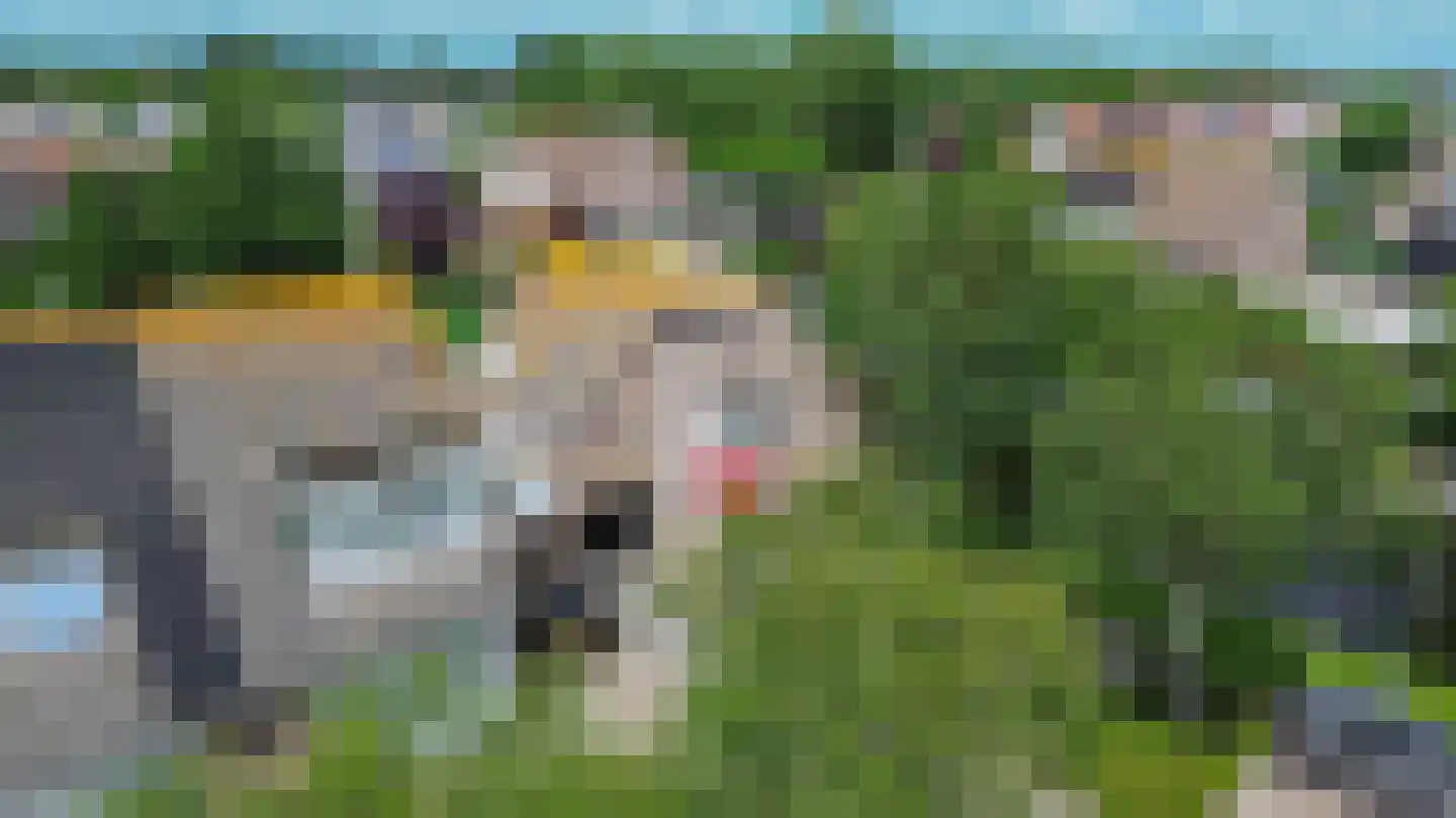 Zuster Siffelslaan 37 Anna Paulowna thumbnail 31