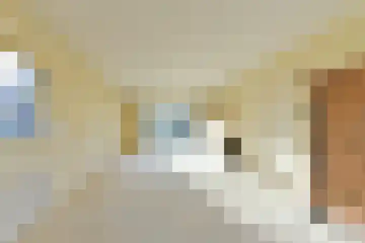 Zuster Spinhovenlaan 17 Bunnik thumbnail 12