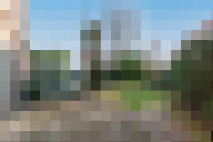 Zuster Spinhovenlaan 17 Bunnik thumbnail 16