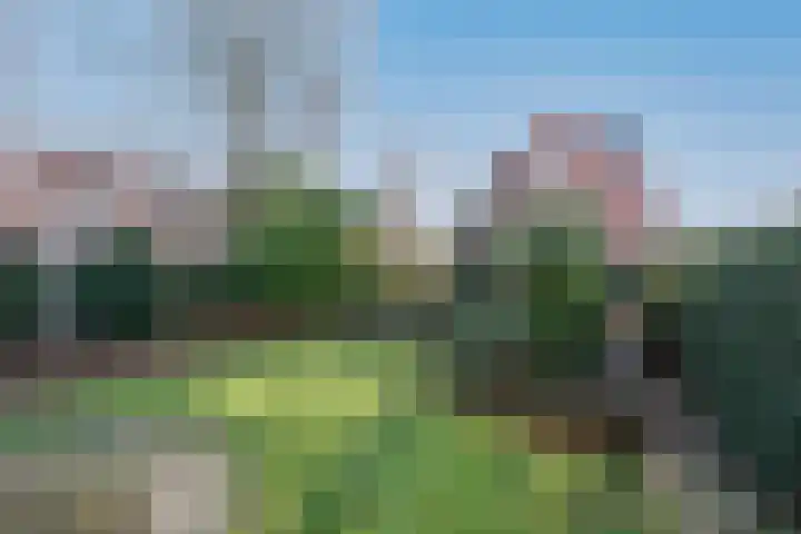 Zuster Spinhovenlaan 17 Bunnik thumbnail 18