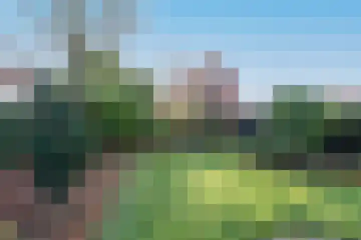 Zuster Spinhovenlaan 17 Bunnik thumbnail 19