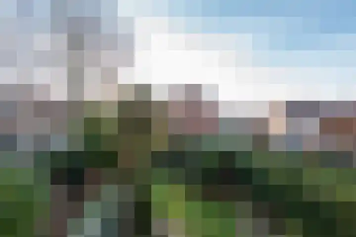 Zuster Spinhovenlaan 17 Bunnik thumbnail 30
