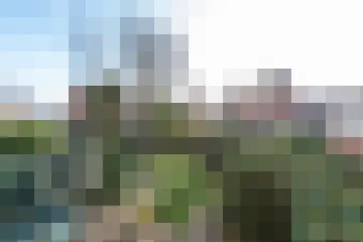 Zuster Spinhovenlaan 17 Bunnik thumbnail 31