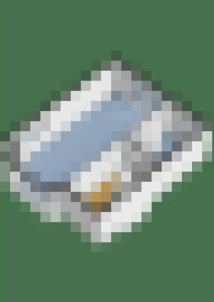 Zuster Spinhovenlaan 17 Bunnik thumbnail 44