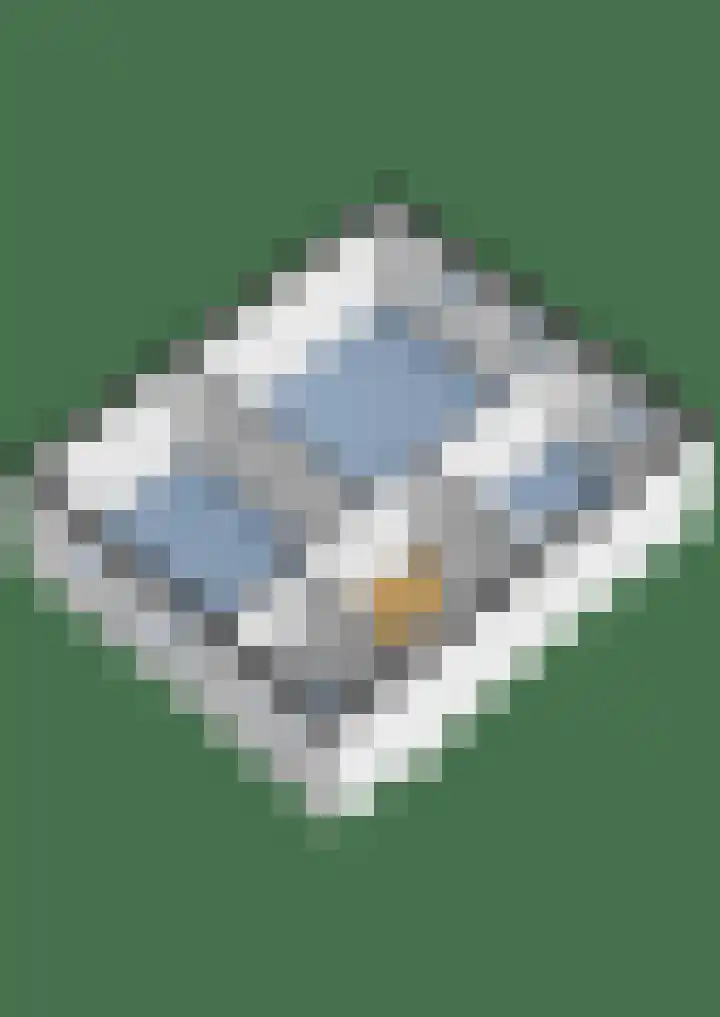 Zuster Spinhovenlaan 17 Bunnik thumbnail 46