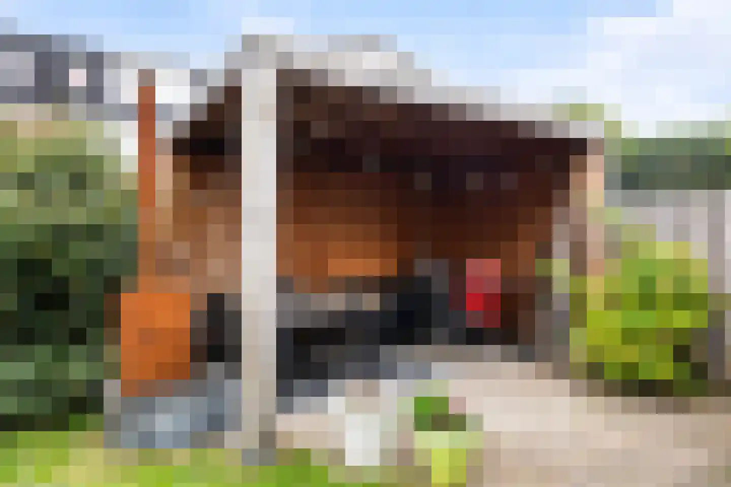 Zuster Spinhovenlaan 6 Bunnik thumbnail 18